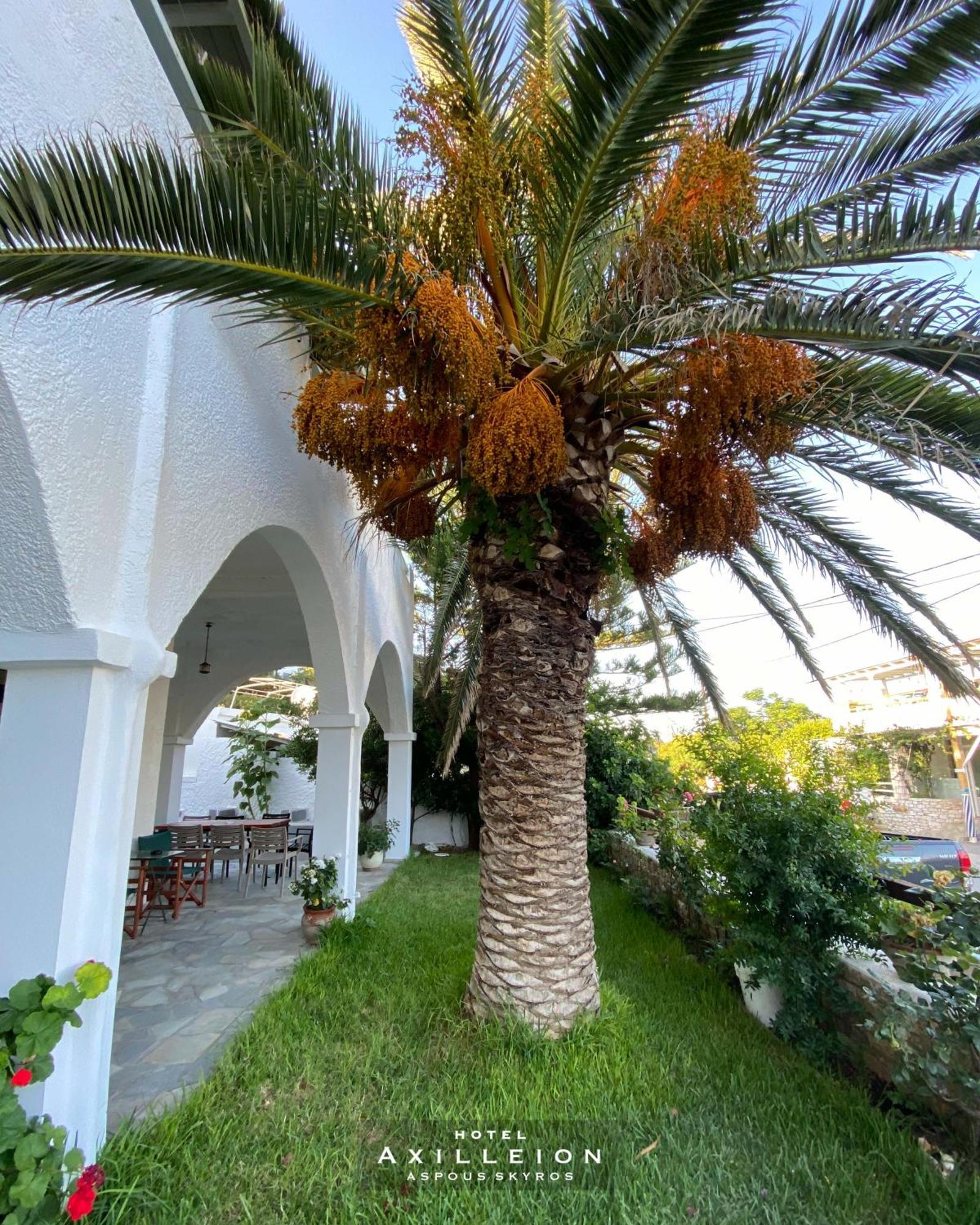 Achilleion Hotel Skyros Exterior foto